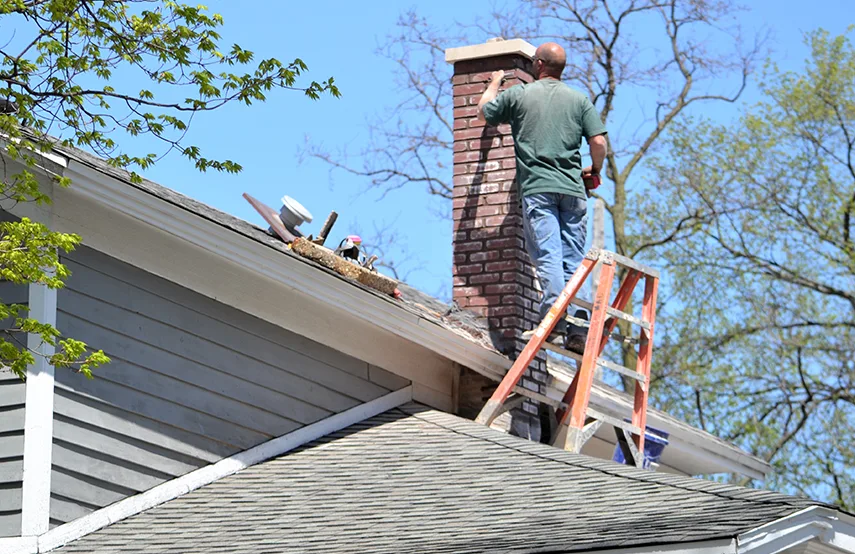 Chimney & Fireplace Inspections Services in Laurel, MS
